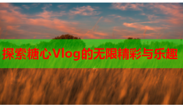 探索糖心Vlog的无限精彩与乐趣