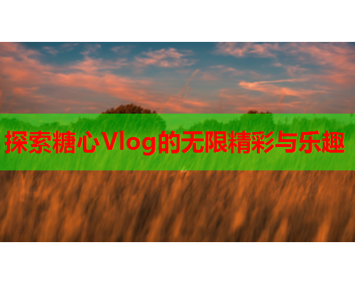 探索糖心Vlog的无限精彩与乐趣