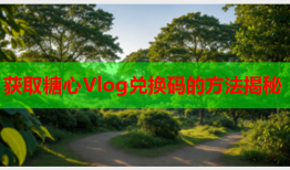 获取糖心Vlog兑换码的方法揭秘