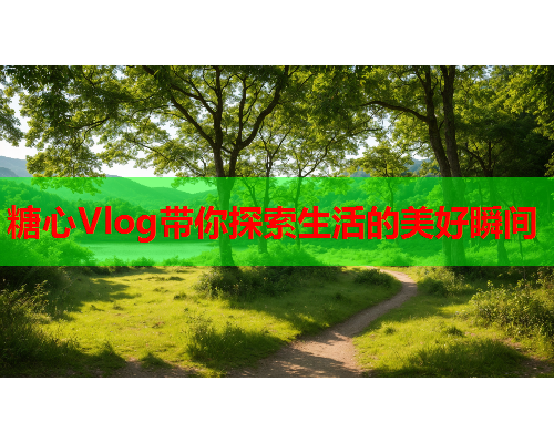 糖心Vlog带你探索生活的美好瞬间