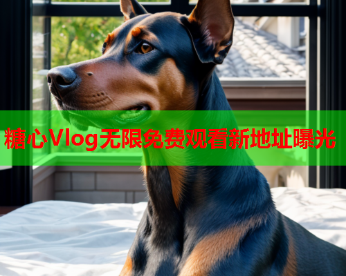 糖心Vlog无限免费观看新地址曝光