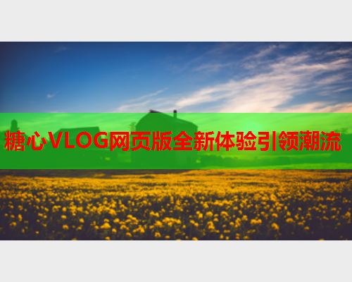 糖心VLOG网页版全新体验引领潮流